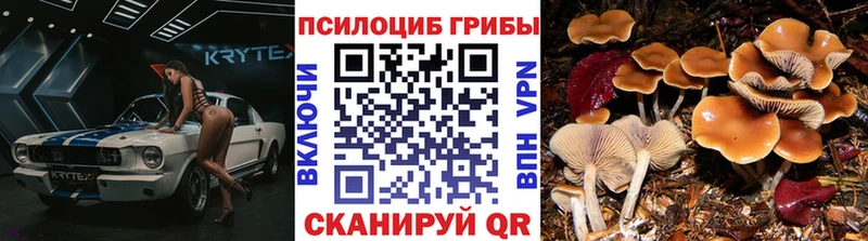 Галлюциногенные грибы GOLDEN TEACHER  сколько стоит  Котельниково 